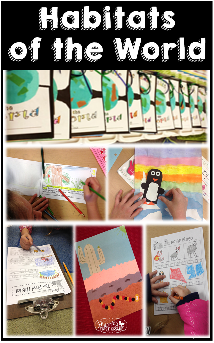 Habitats of the World lesson plans and activities 