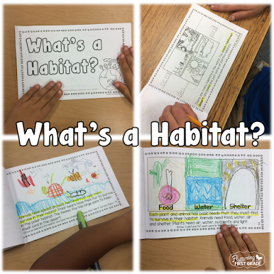 What's a Habitat? little book. Great introduction to the concept of habitats around the world.