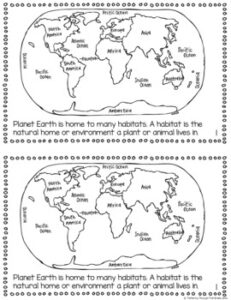 Habitats of the World - What's a Habitat? Little Book - Fluttering ...