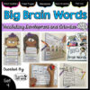 Vocabulary Activities: Big Brain Words Set 4