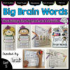 Vocabulary Activities: Big Brain Words Set 5
