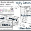 Vocabulary Activities: Big Brain Words Set 5 - Image 4