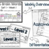 Vocabulary Word Work: Big Brain Words BIG BUNDLE - Image 4
